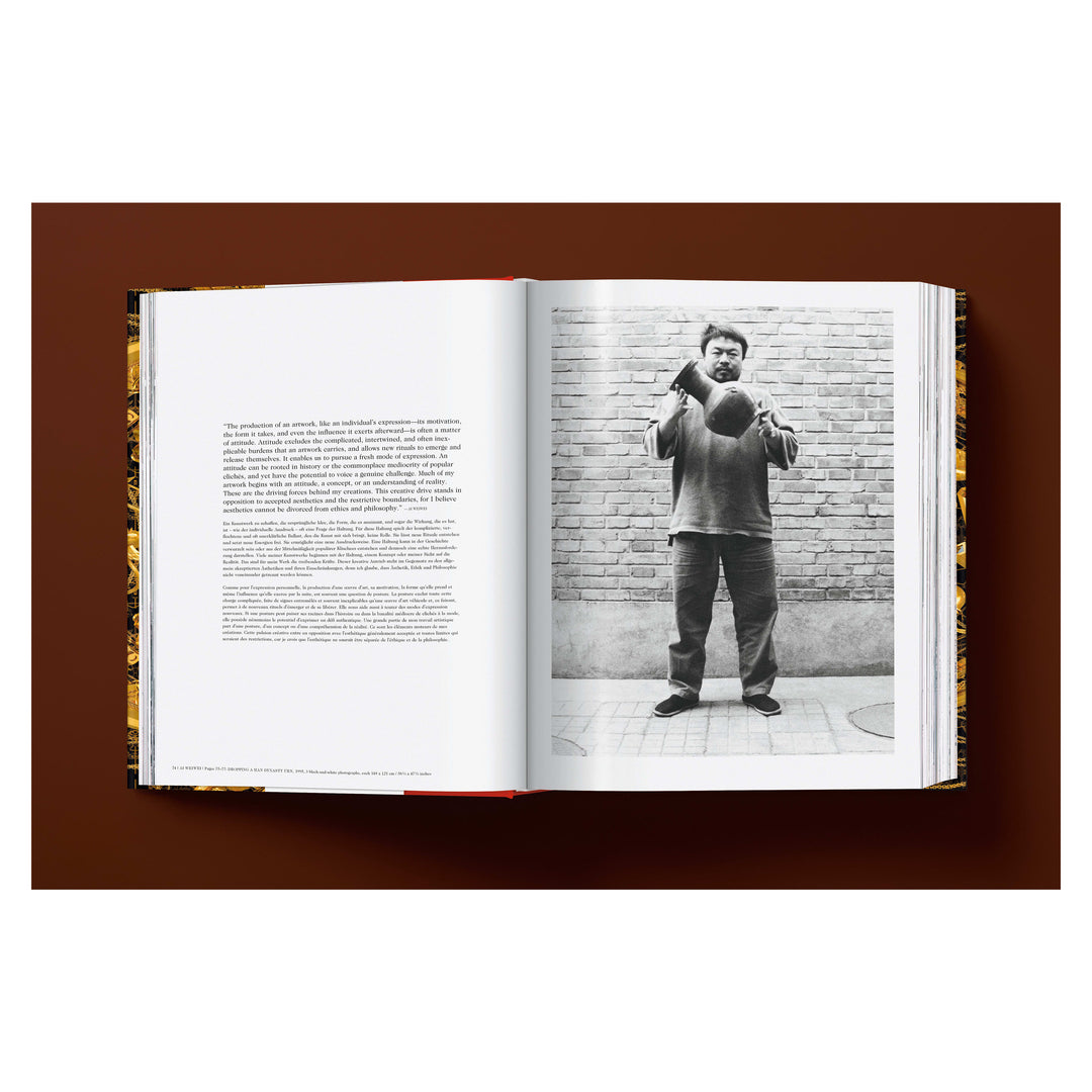 Ai Weiwei. Updated Edition