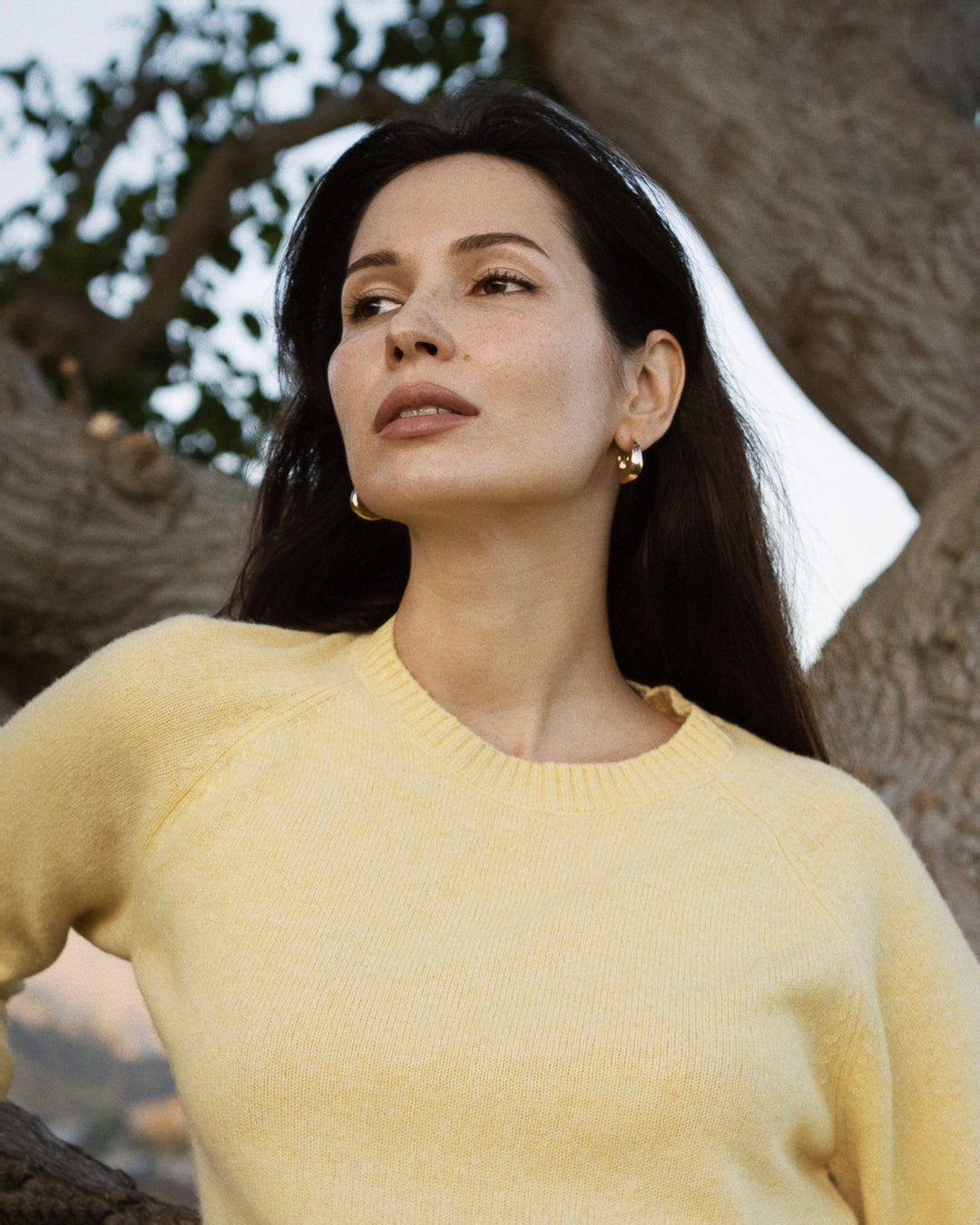 Nello Crewneck Sweater in Yellow