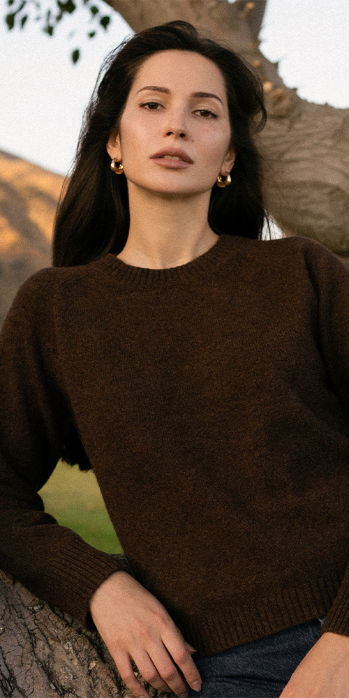 Nello Crewneck Sweater in Chocolate Brown