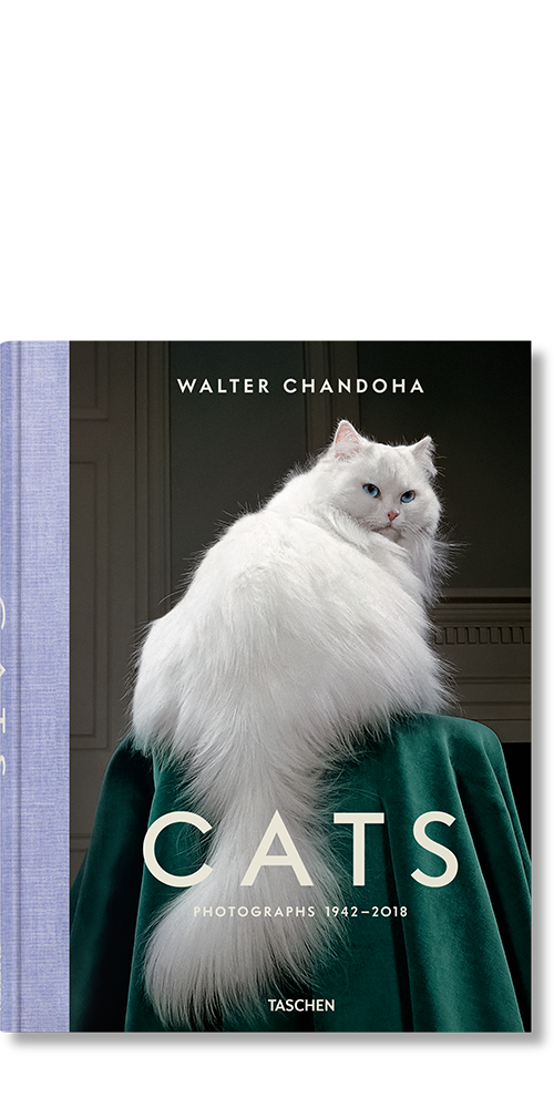 Walter Chandoha. Cats. Photographs 1942–2018