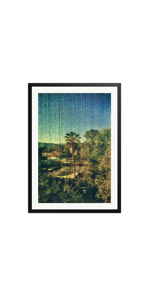 Spring Palm
