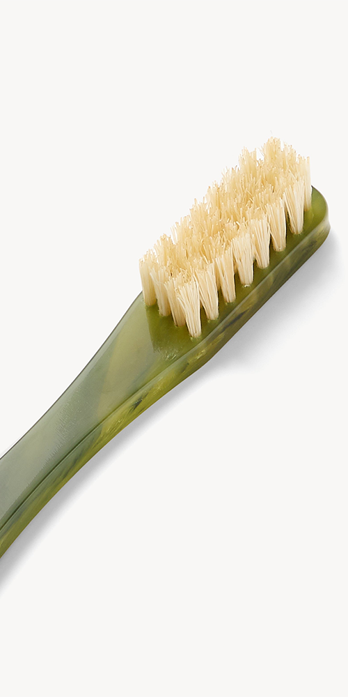 Toothbrush Algae