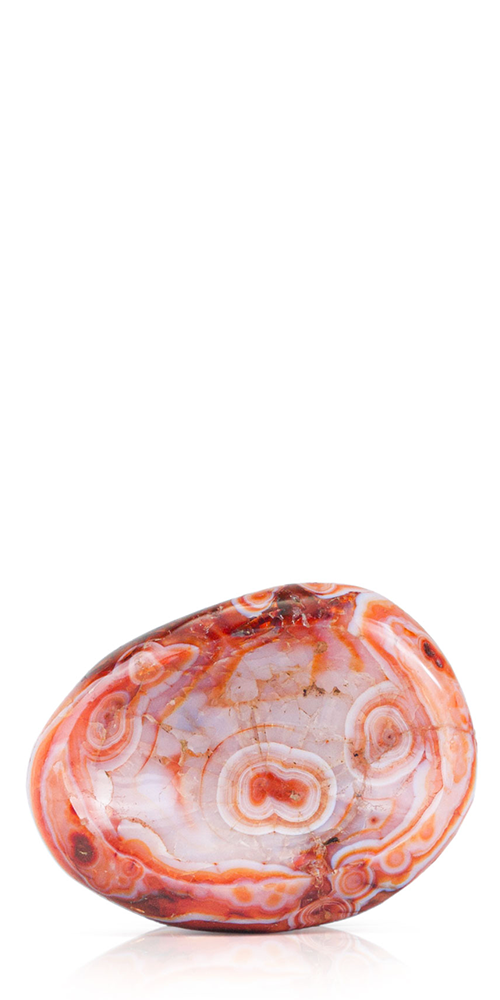 Cecilia Catch-All