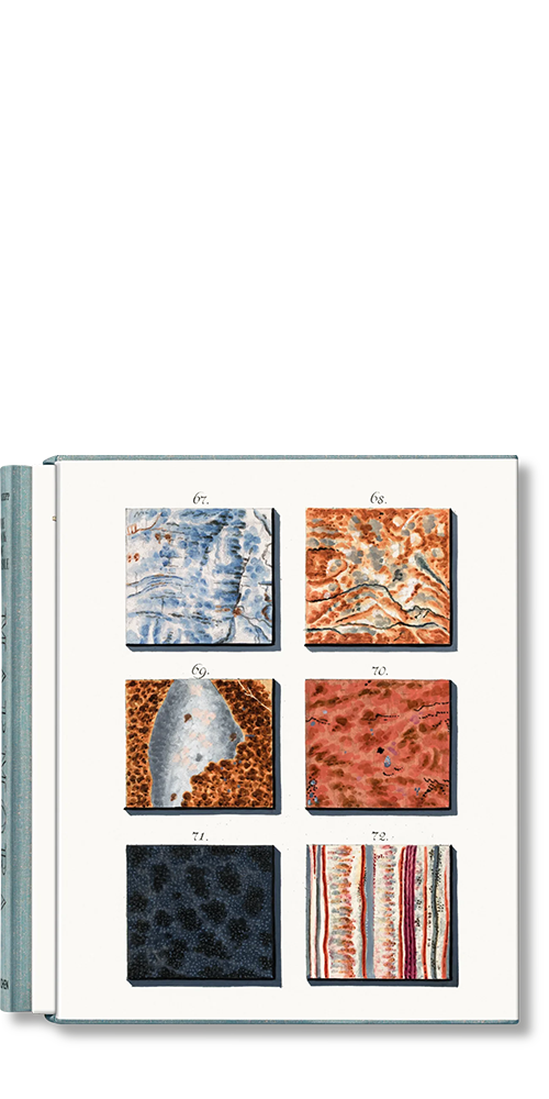 Jan Christiaan Sepp. The Book of Marble