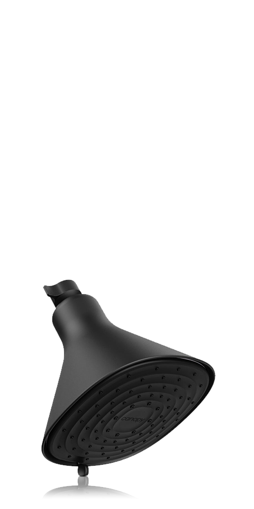 Filtered Showerhead