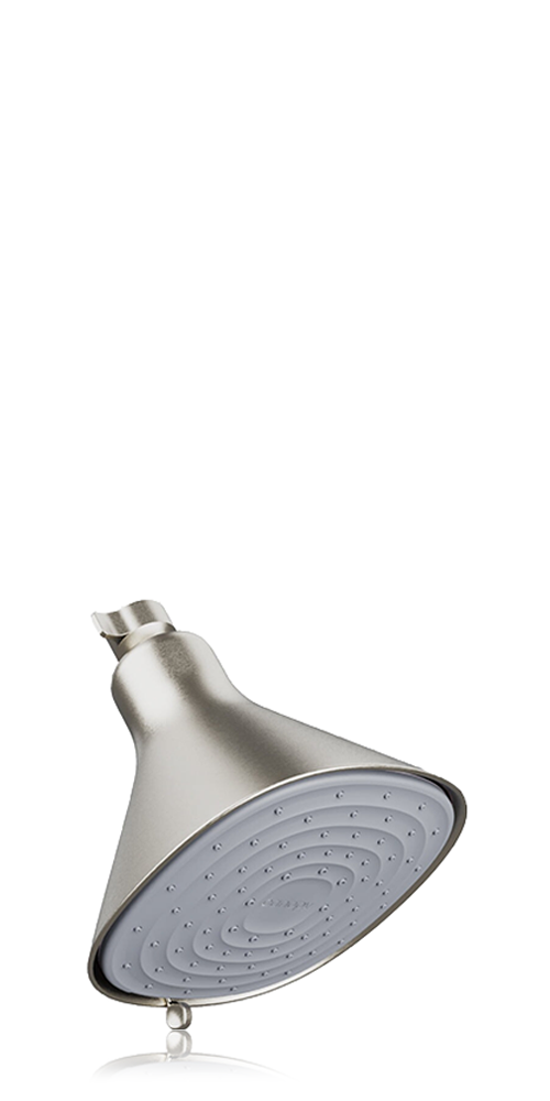 Filtered Showerhead