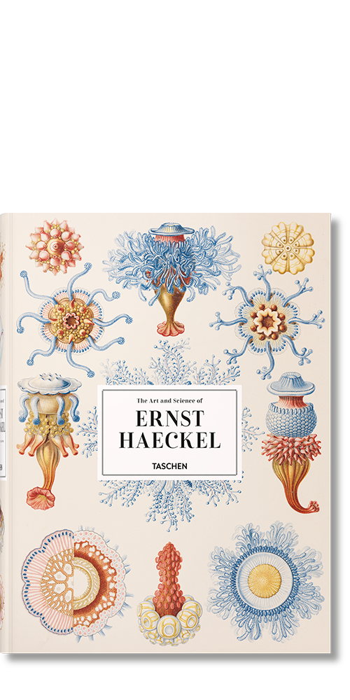 The Art and Science of Ernst Haeckel
