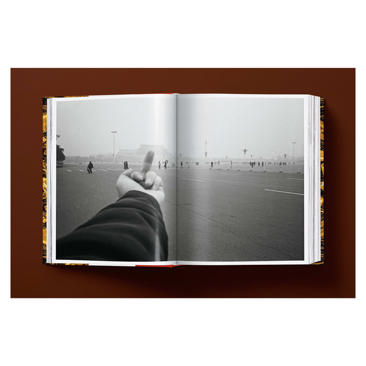 Ai Weiwei. Updated Edition