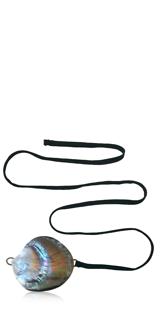Shell Belt
