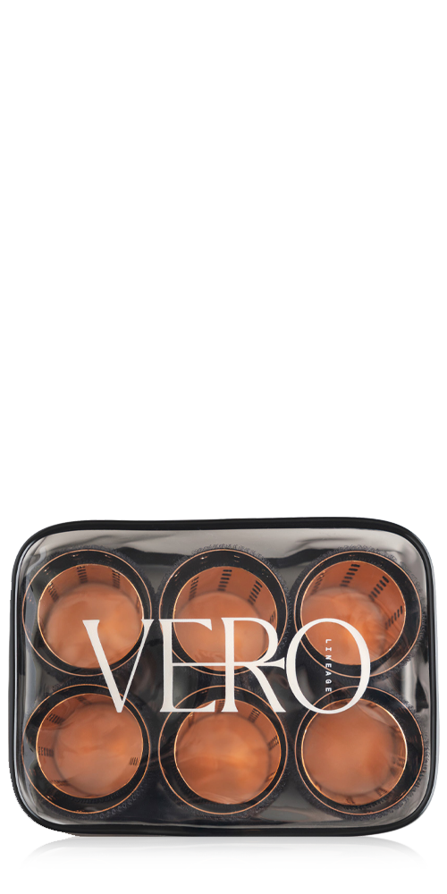 Lift 12 Hair Roller And Clip Set