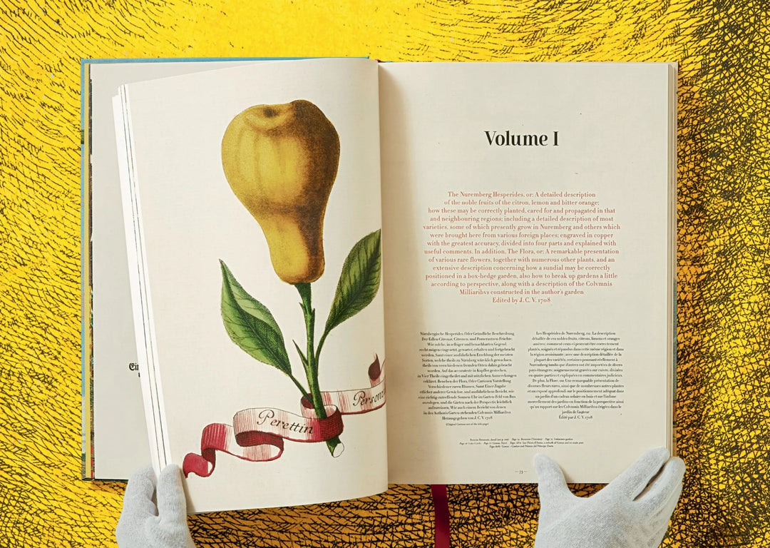 J. C. Volkamer. The Book of Citrus Fruits