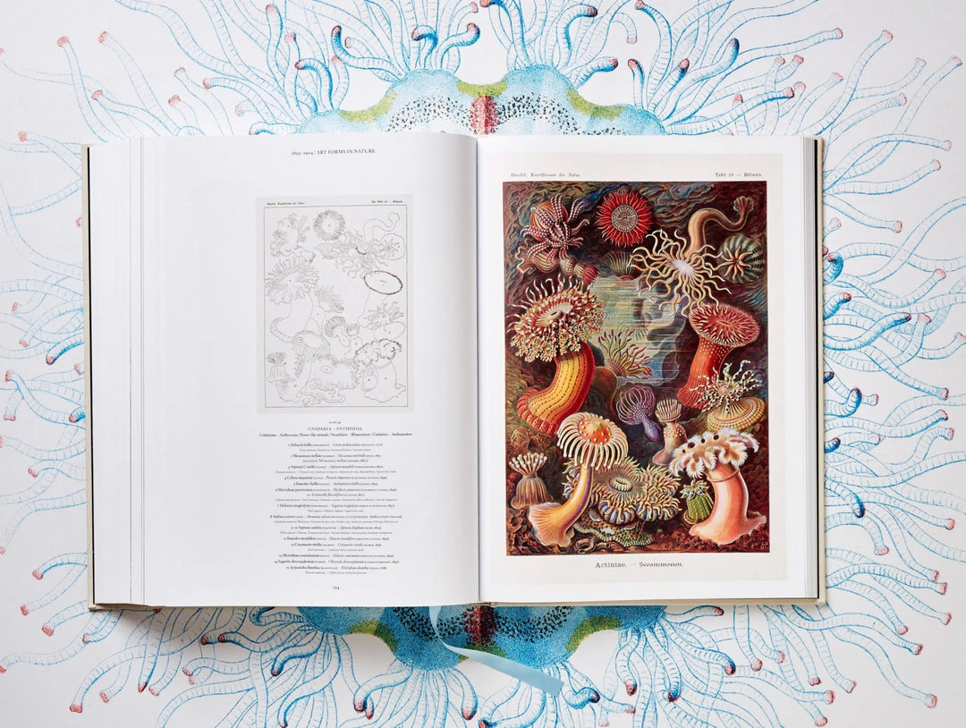 The Art and Science of Ernst Haeckel