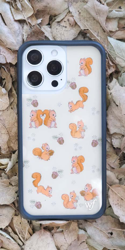 Squirrel Friend iPhone Case