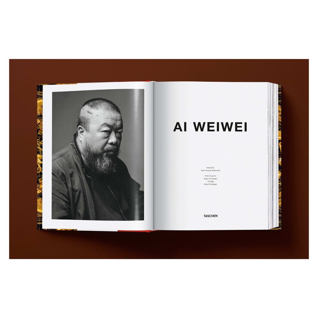 Ai Weiwei. Updated Edition
