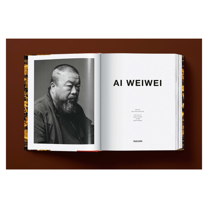 Ai Weiwei. Updated Edition