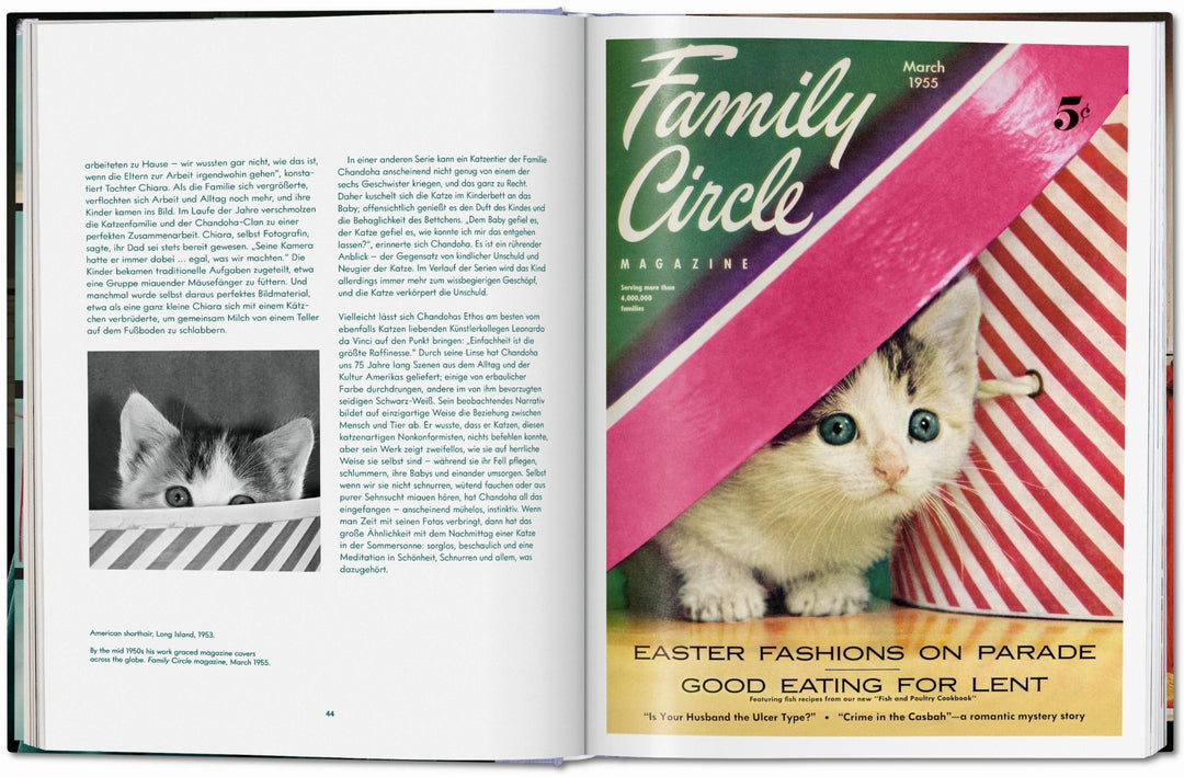 Walter Chandoha. Cats. Photographs 1942–2018