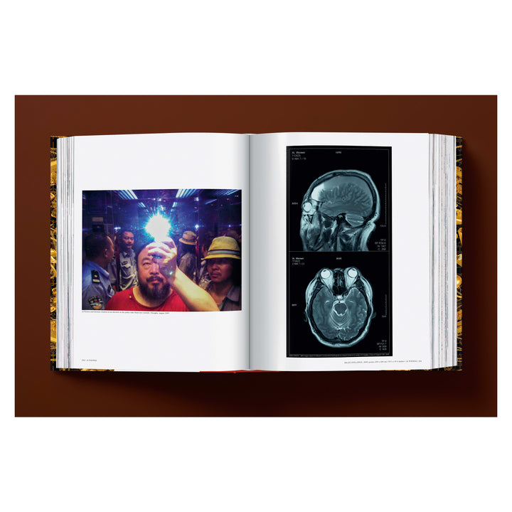 Ai Weiwei. Updated Edition