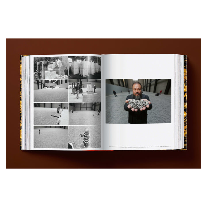 Ai Weiwei. Updated Edition