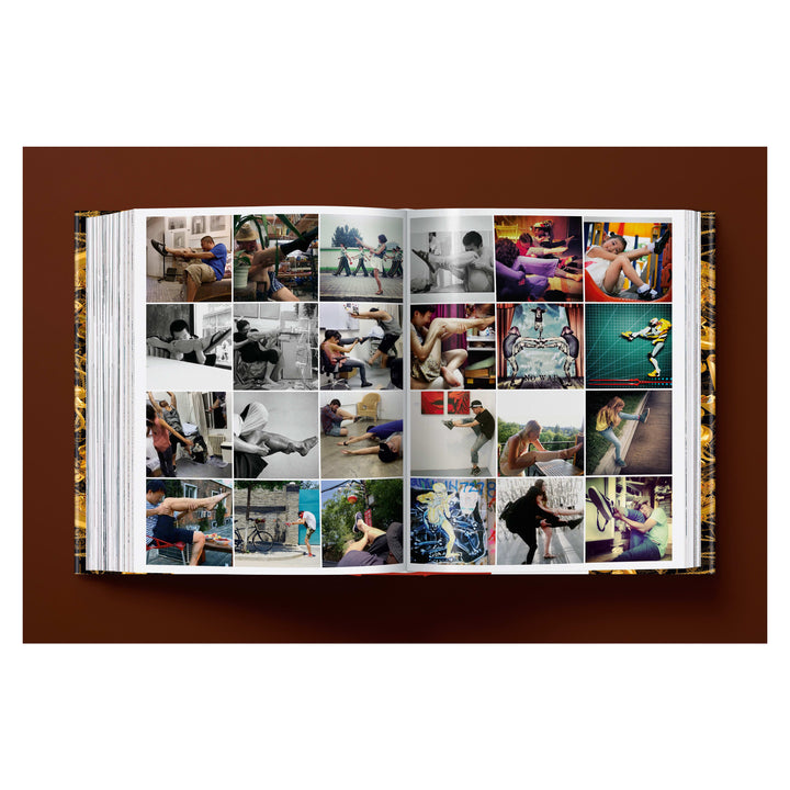 Ai Weiwei. Updated Edition