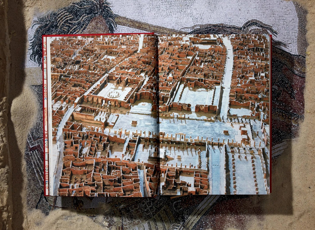 Fausto &amp; Felice Niccolini. Houses and Monuments of Pompeii