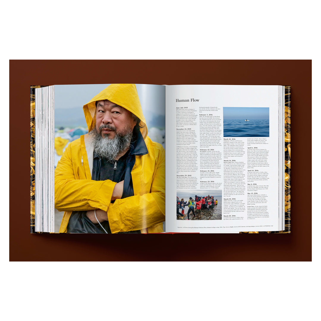 Ai Weiwei. Updated Edition