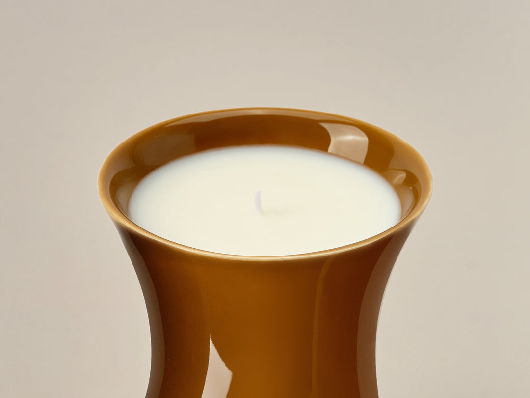 Ambered Apple Candle *Limited Holiday Edition