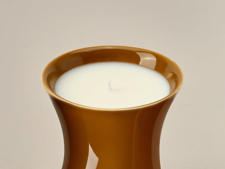 Ambered Apple Candle *Limited Holiday Edition