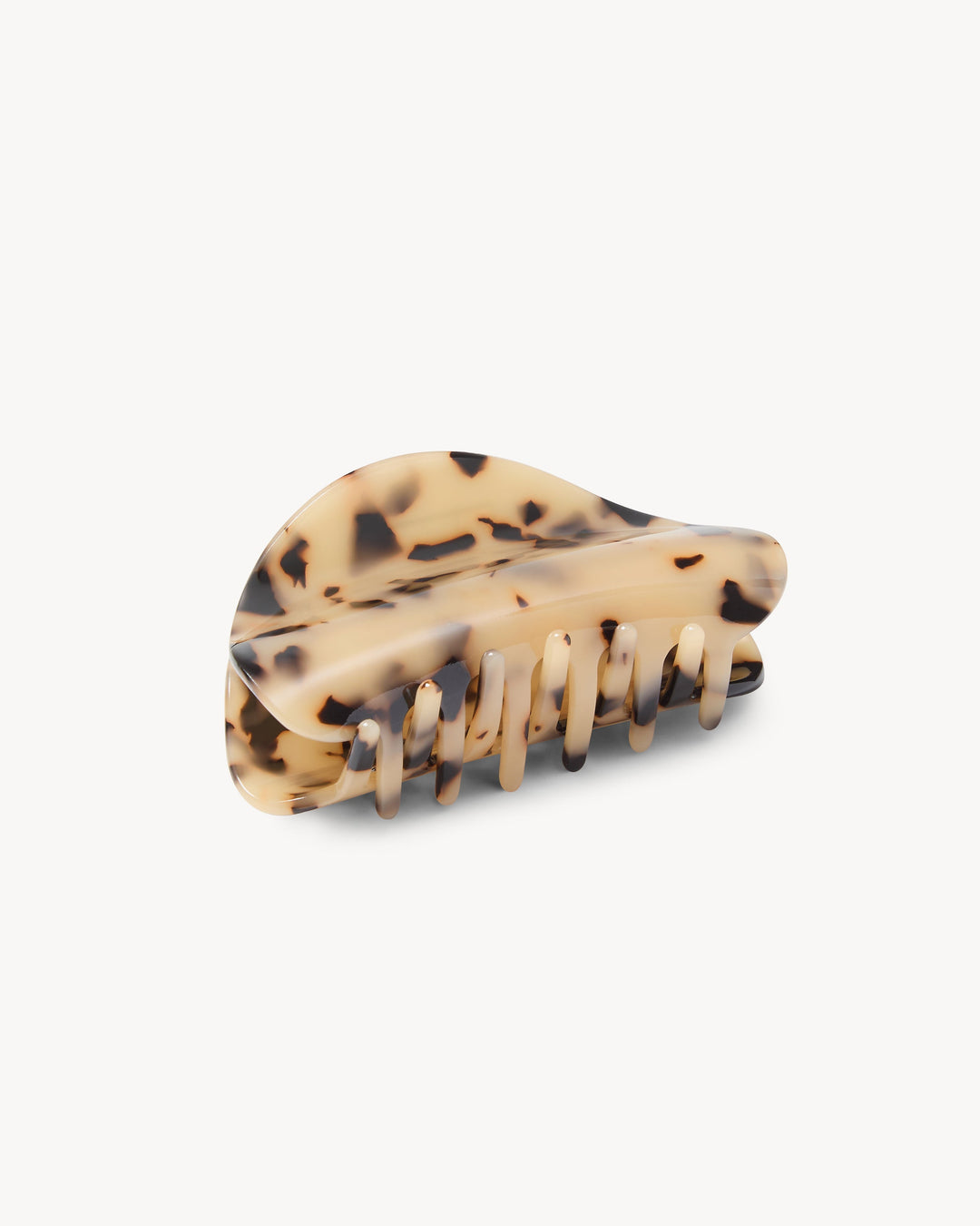 Crescent Claw Blonde Tortoise