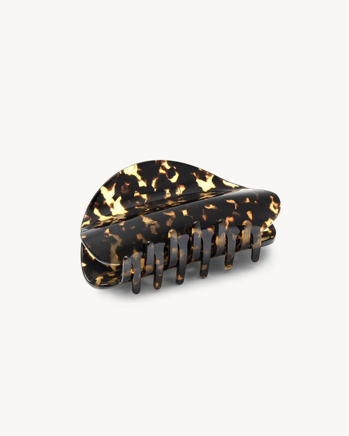 Crescent Claw Dark Tortoise