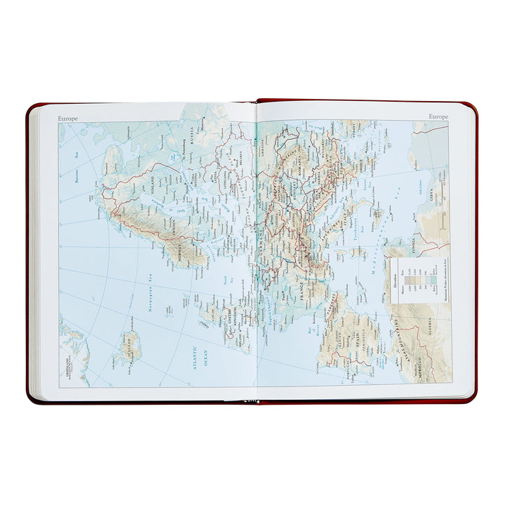 2026 Desk Diary Red