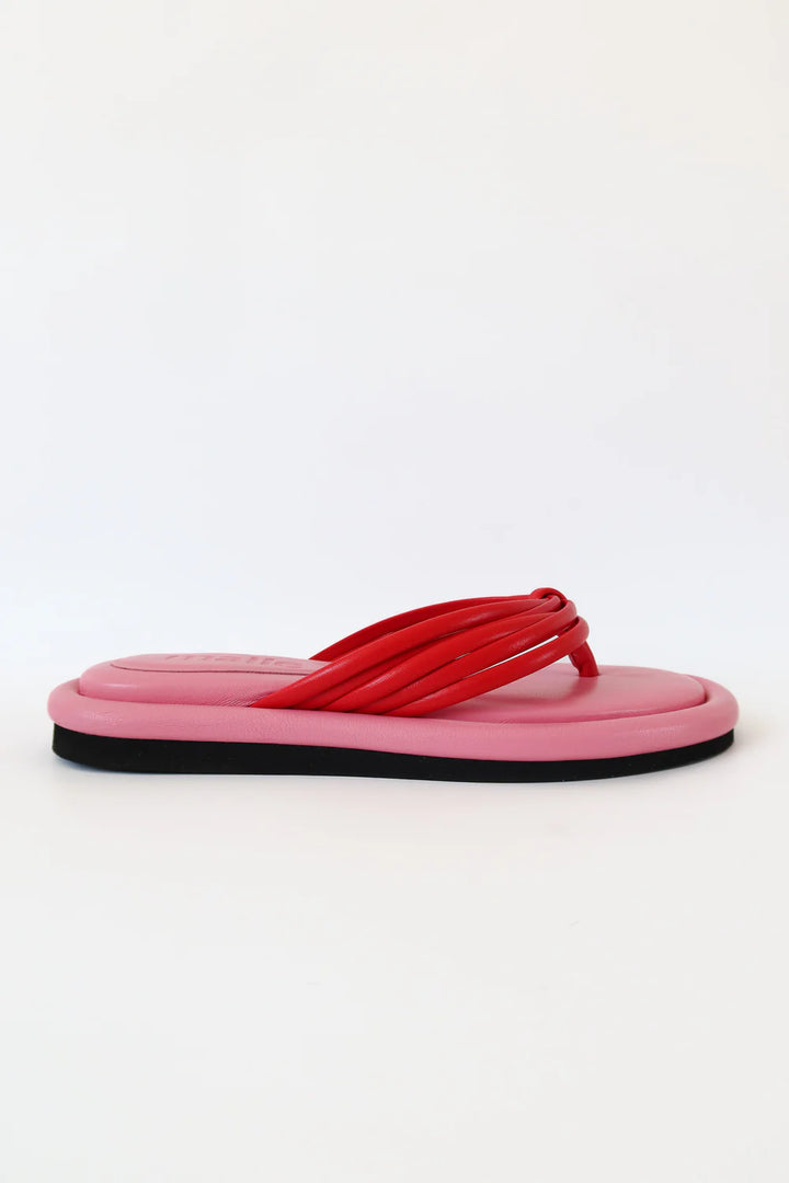 Harper Leather Thong Sandal