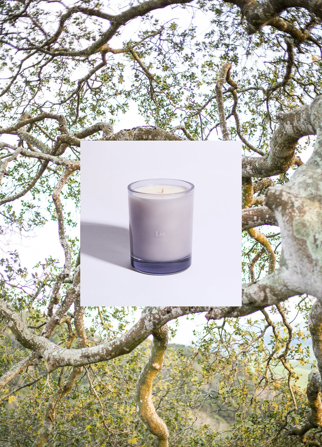 Reyes Candle