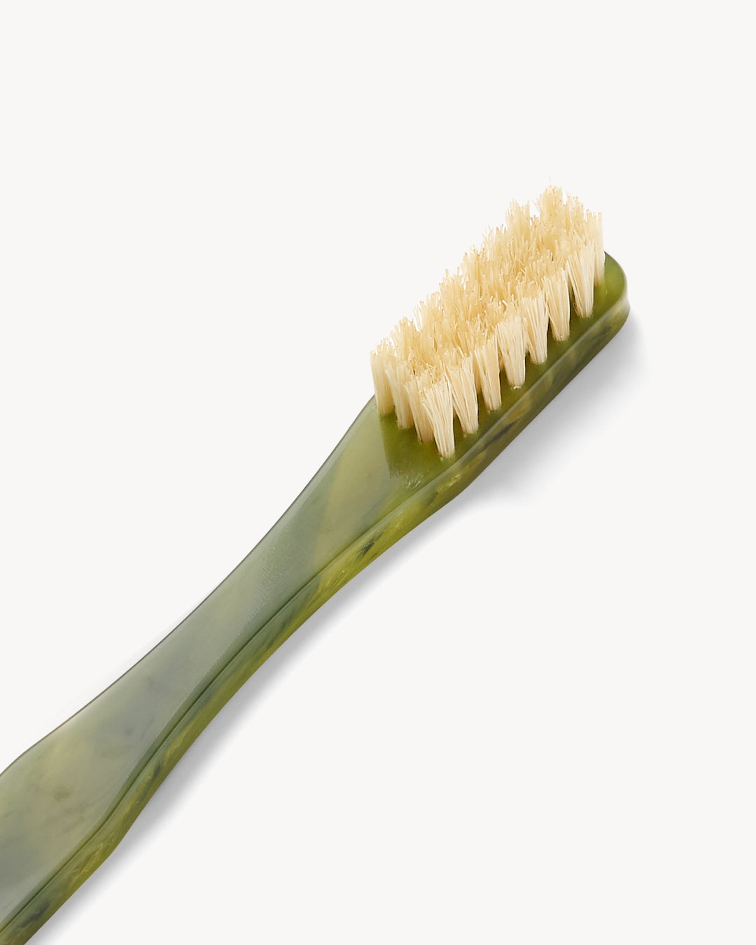 Toothbrush Algae