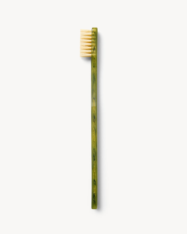 Toothbrush Algae