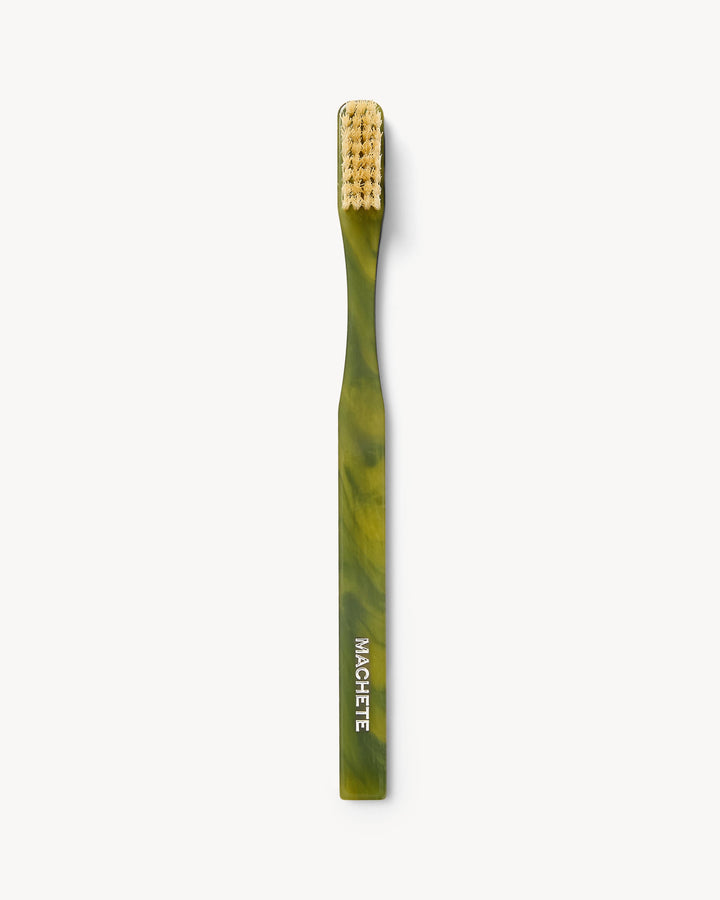 Toothbrush Algae