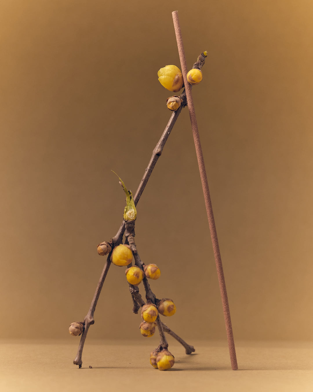 Signature Incense Set