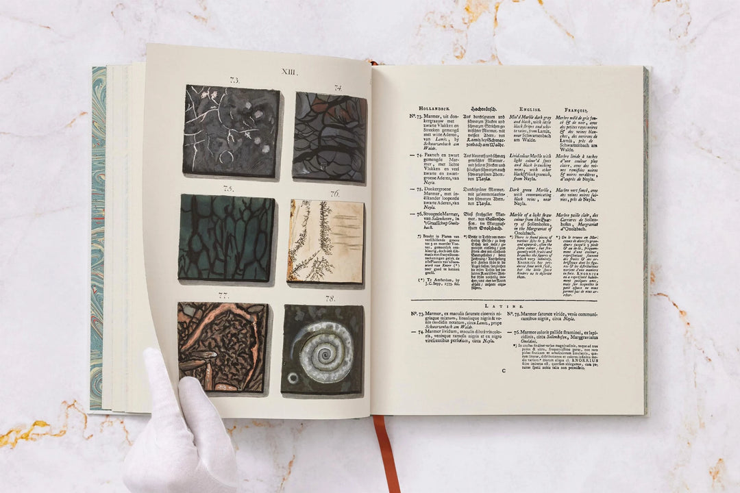 Jan Christiaan Sepp. The Book of Marble