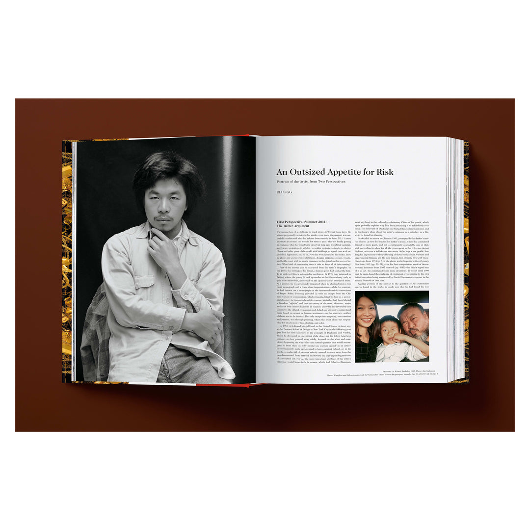 Ai Weiwei. Updated Edition