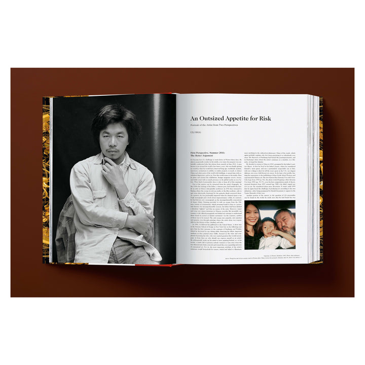 Ai Weiwei. Updated Edition
