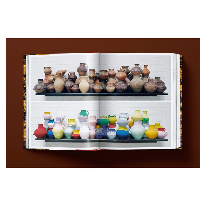Ai Weiwei. Updated Edition