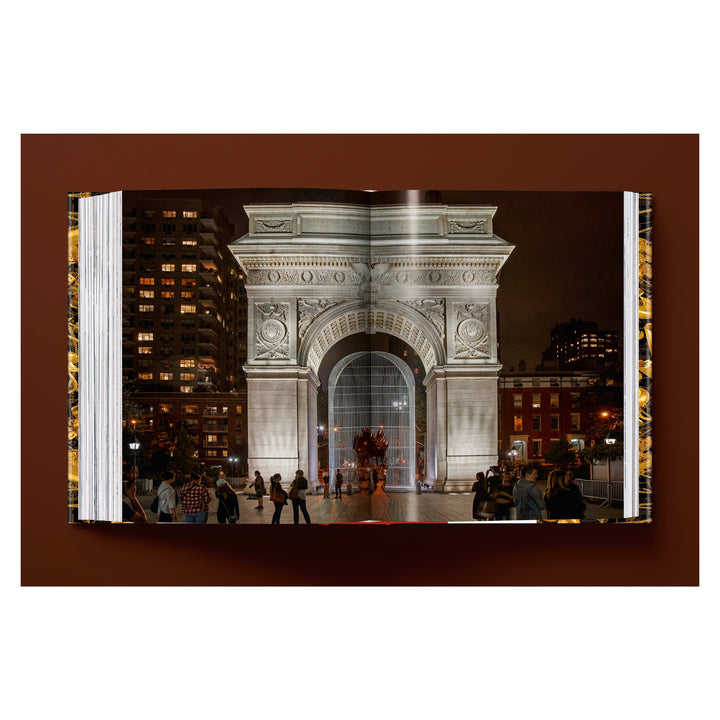 Ai Weiwei. Updated Edition