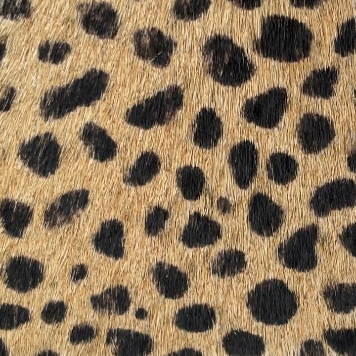 Diva Pony Hair Pump