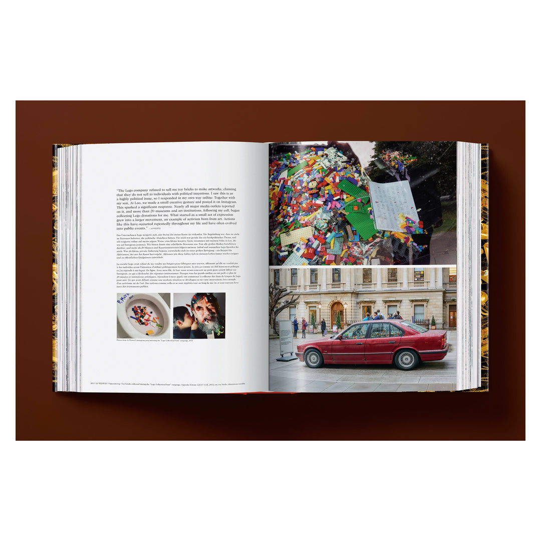 Ai Weiwei. Updated Edition