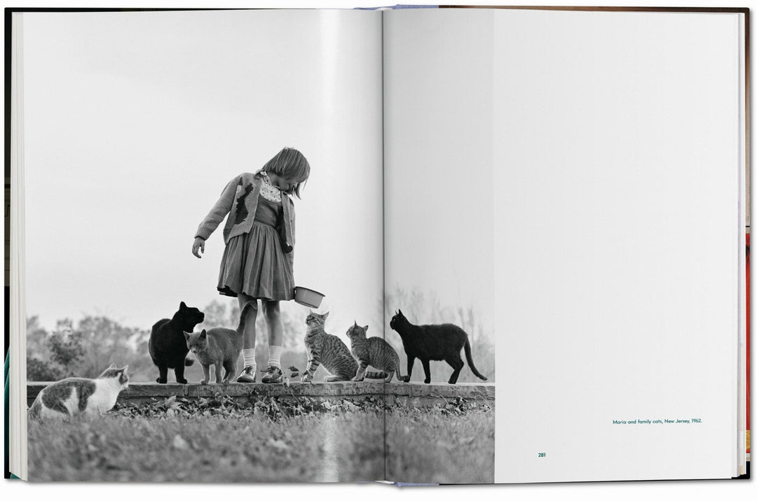 Walter Chandoha. Cats. Photographs 1942–2018