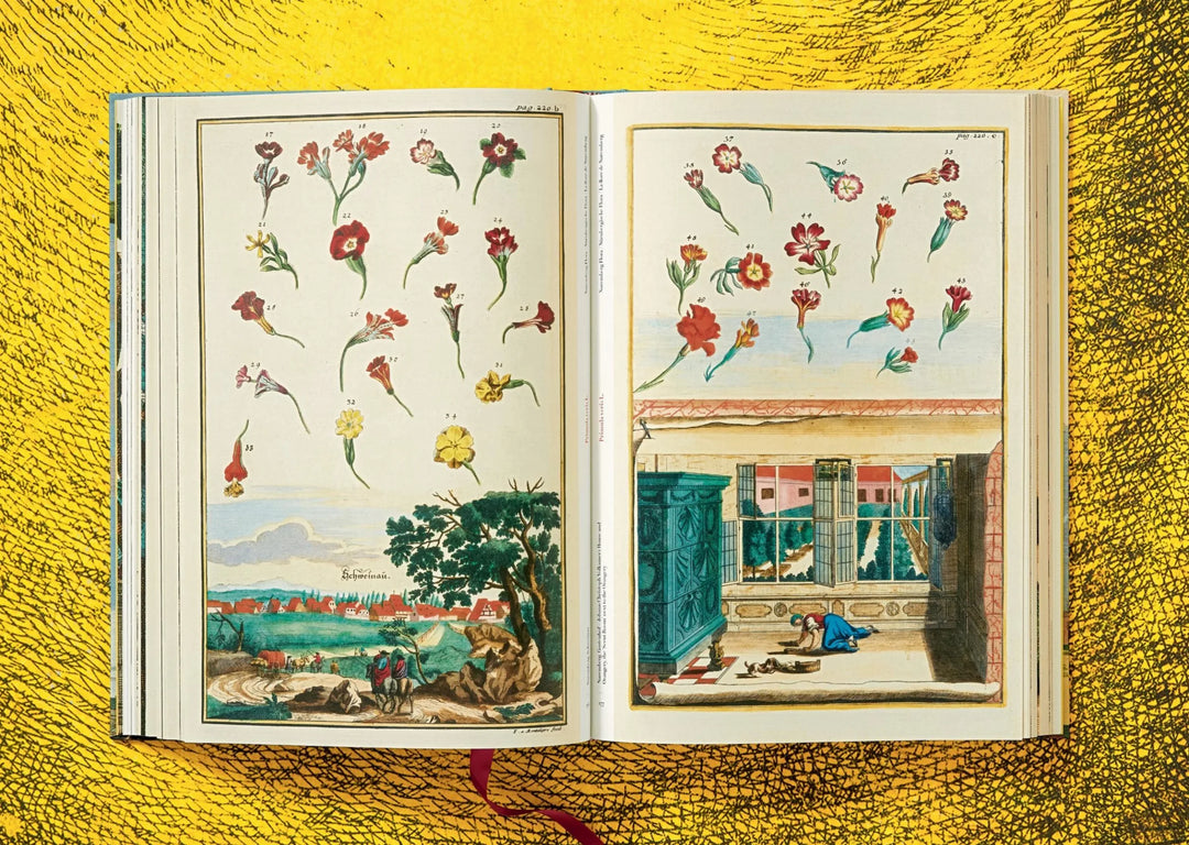 J. C. Volkamer. The Book of Citrus Fruits