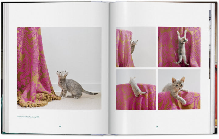 Walter Chandoha. Cats. Photographs 1942–2018