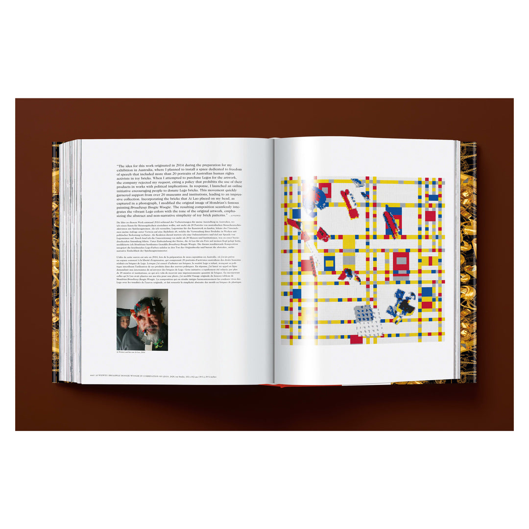 Ai Weiwei. Updated Edition