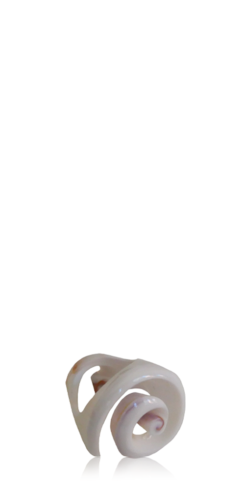 Spiral Shell Ring