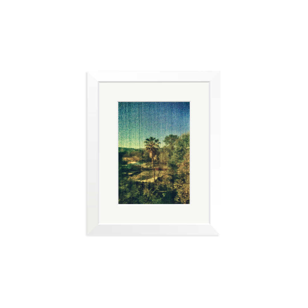 Spring Palm
