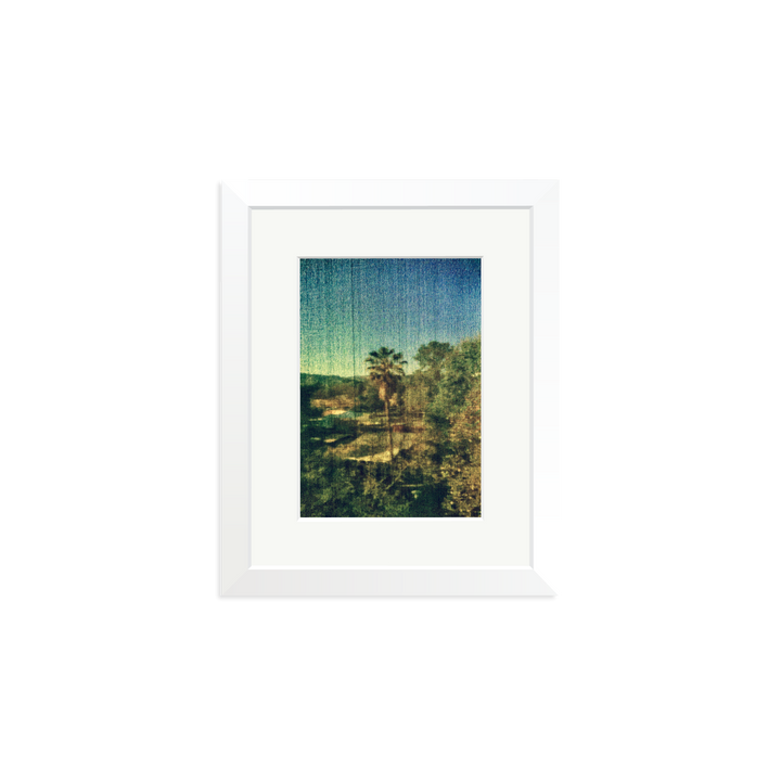 Spring Palm
